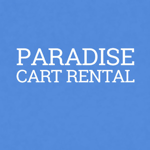paradisecartrental 